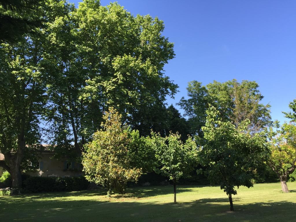 Bed and Breakfast Montjoia LʼIsle-sur-la-Sorgue Exterior foto