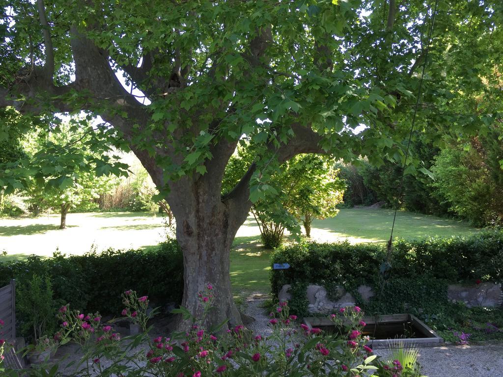 Bed and Breakfast Montjoia LʼIsle-sur-la-Sorgue Exterior foto